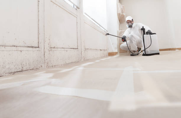 24/7 Emergency Mold Inspection experts in Maple, NC