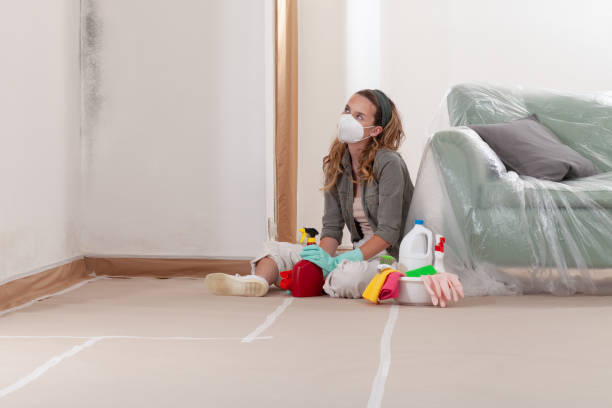 Reliable Mold Cleanup contractor in Maple, NC by Cheap Mold Removal